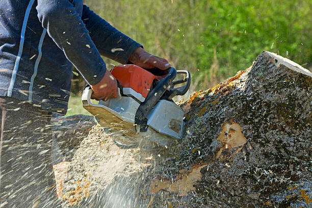 Soil Testing and Treatment in Wenatchee, WA